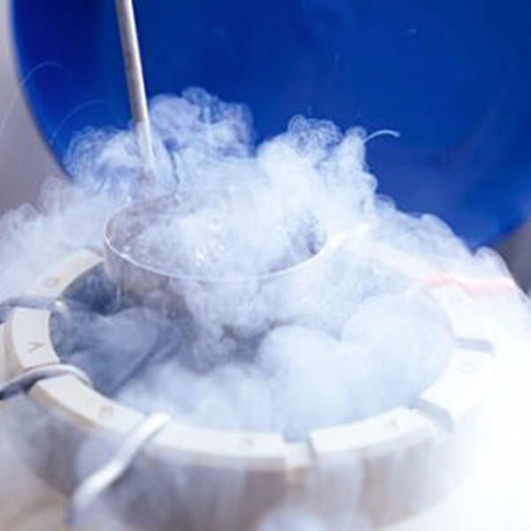 Криоконсервация эмбрионов | Врач репродуктолог Малышева В.А.