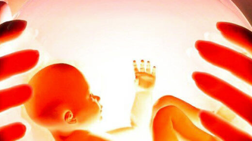 Перенос эмбриона